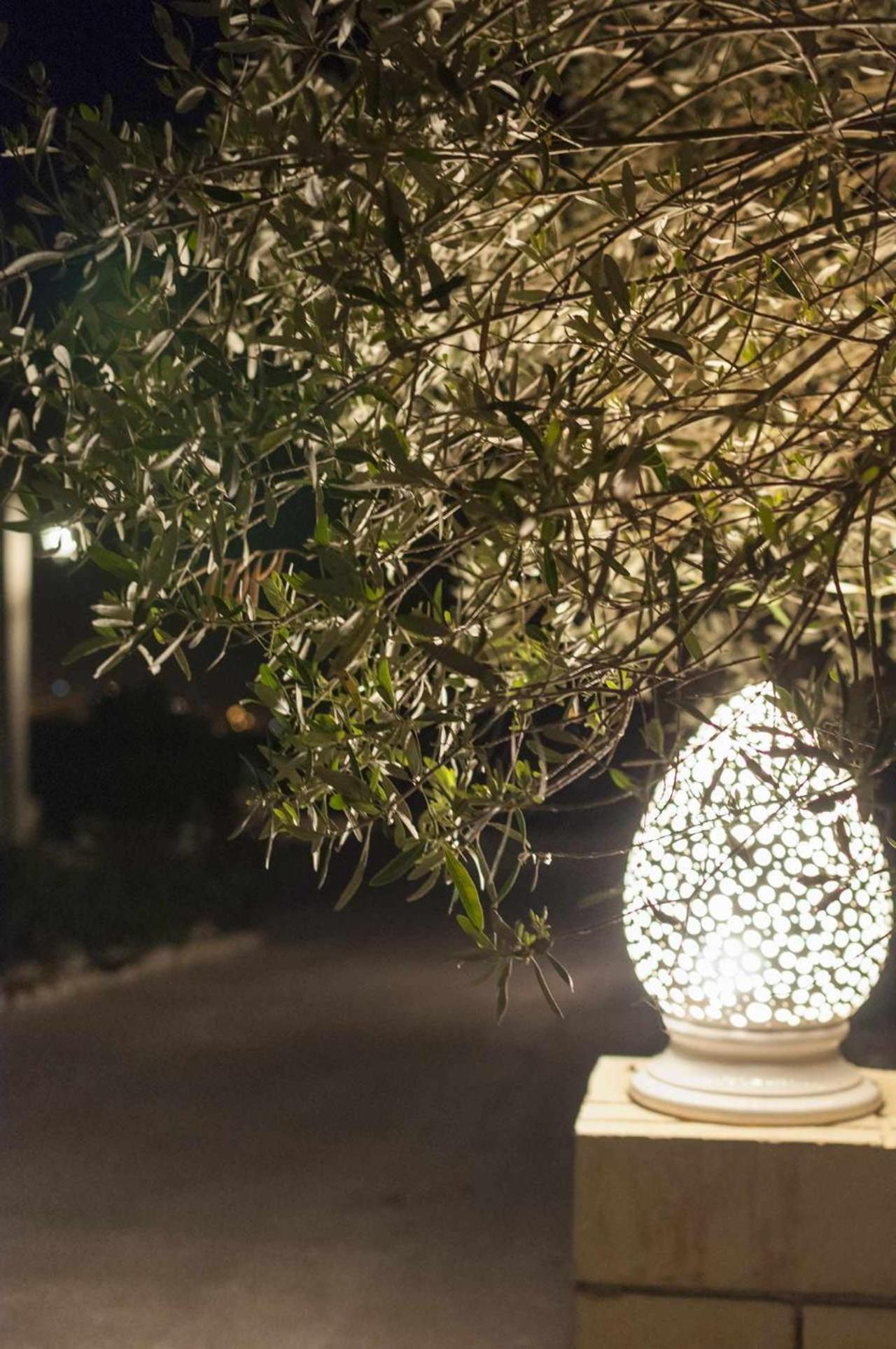 Tenuta Olive Alive 노토 외부 사진