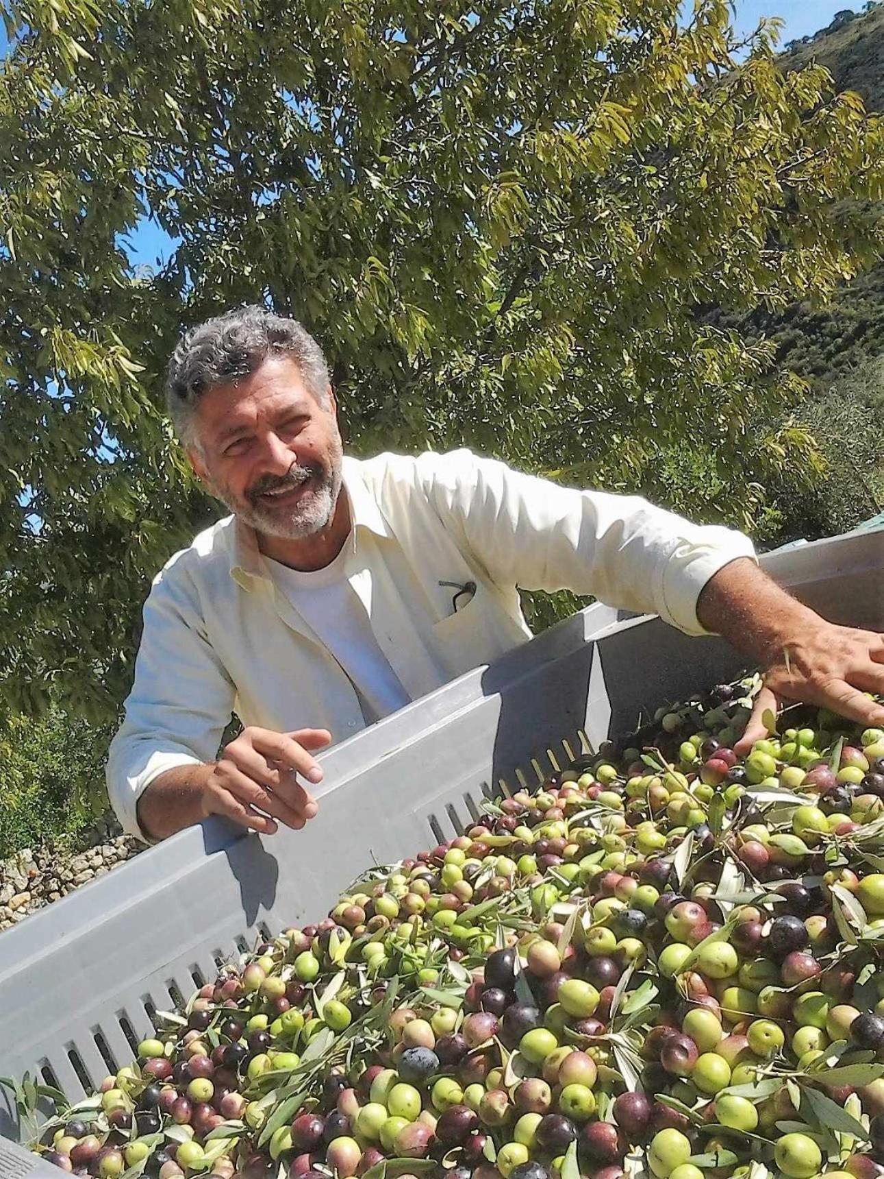 Tenuta Olive Alive 노토 외부 사진